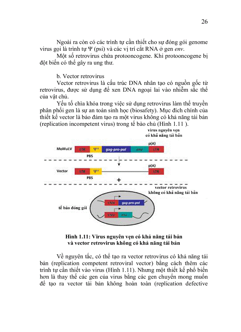 image for page Công nghệ chuyển gen động vật thực vật