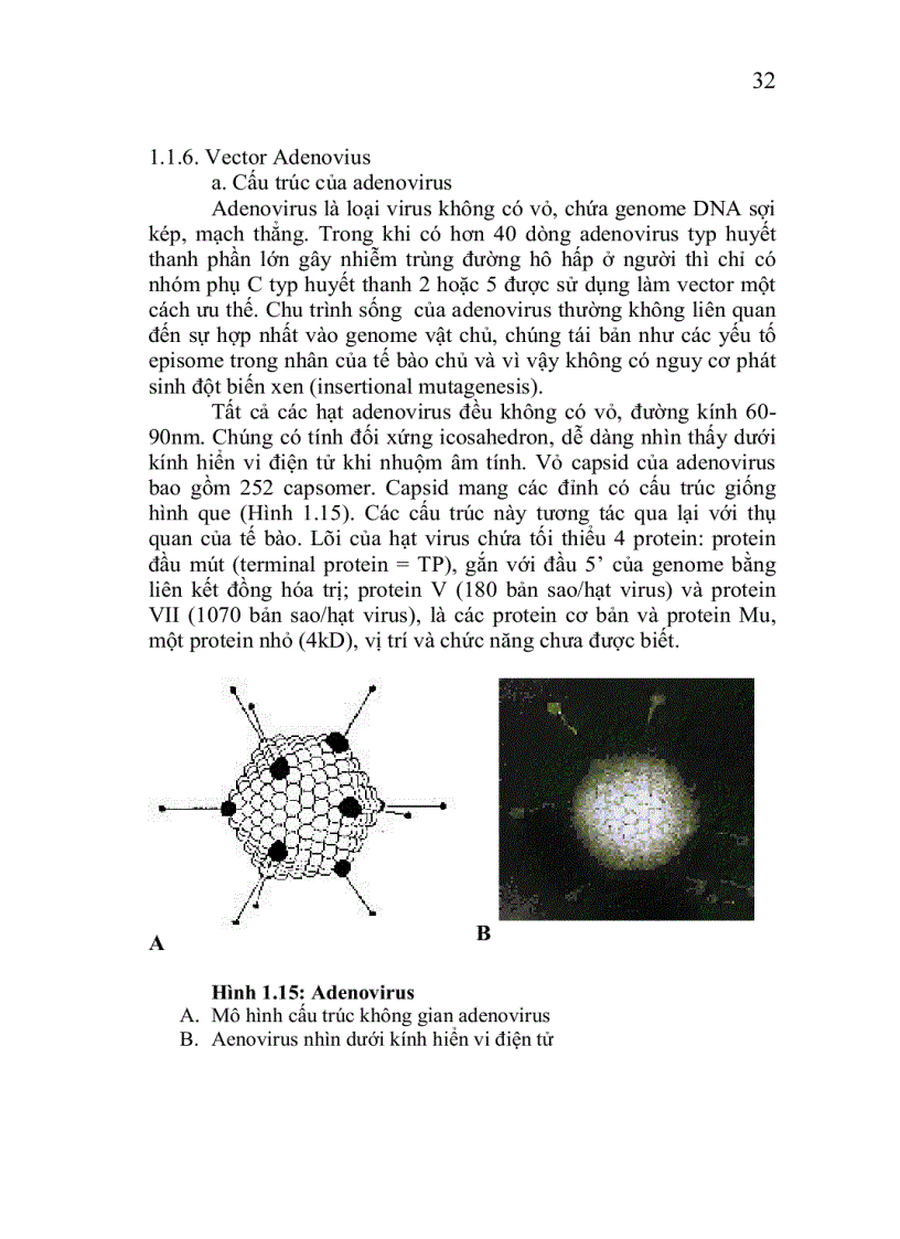 image for page Công nghệ chuyển gen động vật thực vật