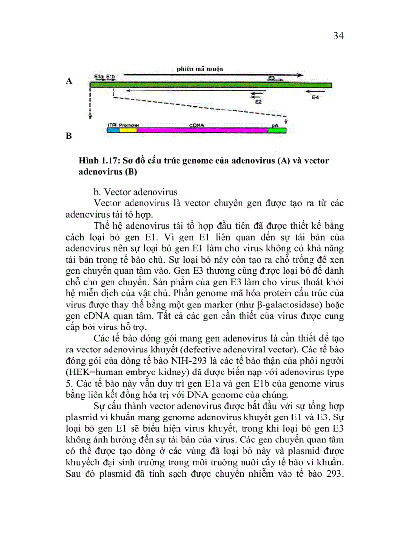 image for page Công nghệ chuyển gen động vật thực vật