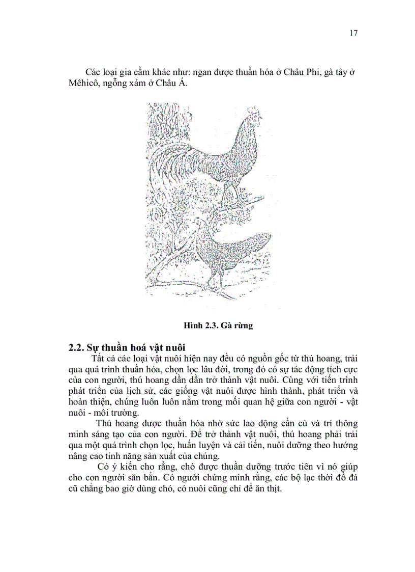 image for page Giáo trình chọn giống nhân giống vật nuôi