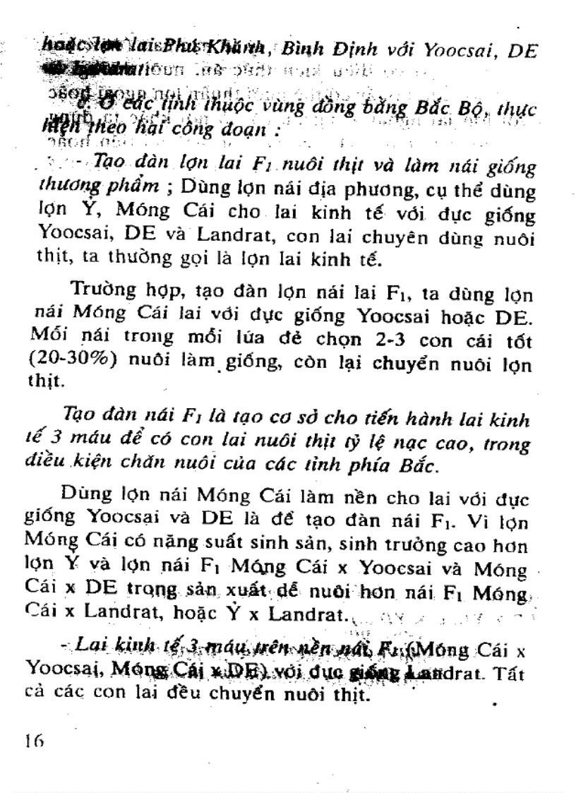 image for page Kỹ thuật nuôi lợn thịt lớn nhanh nhiều nạc
