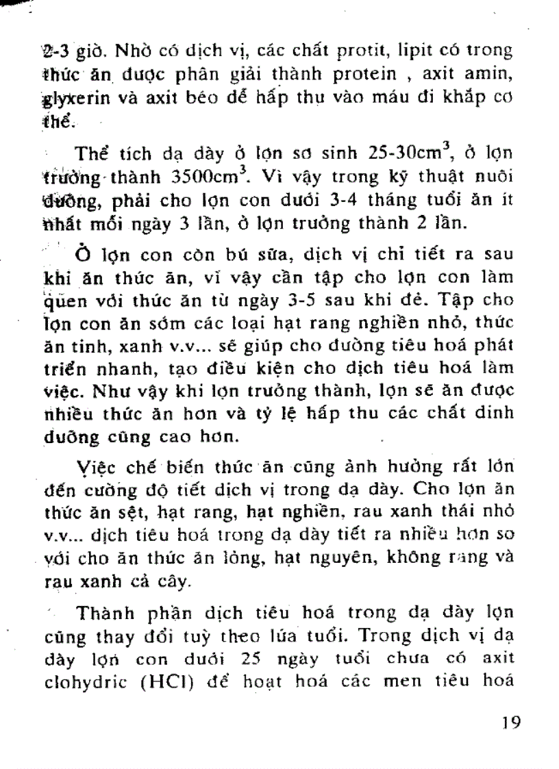 image for page Kỹ thuật nuôi lợn thịt lớn nhanh nhiều nạc
