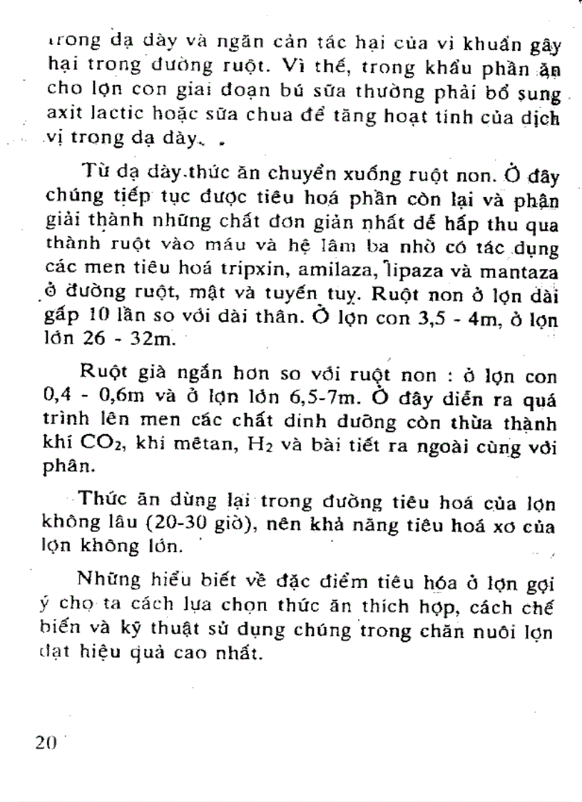 image for page Kỹ thuật nuôi lợn thịt lớn nhanh nhiều nạc