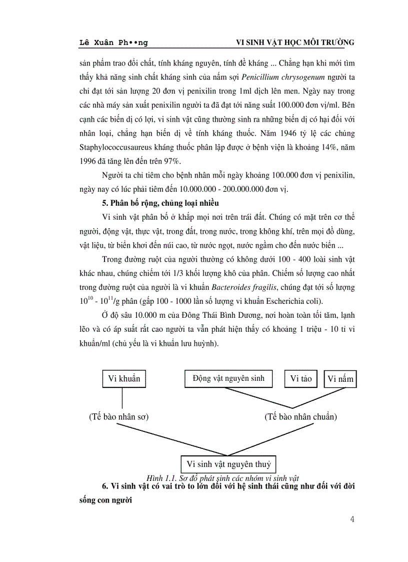image for page Giáo trình VI SINH VAT HỌC MÔI TRƯỜNG