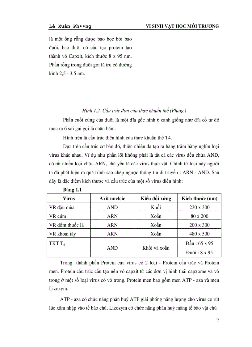 image for page Giáo trình VI SINH VAT HỌC MÔI TRƯỜNG