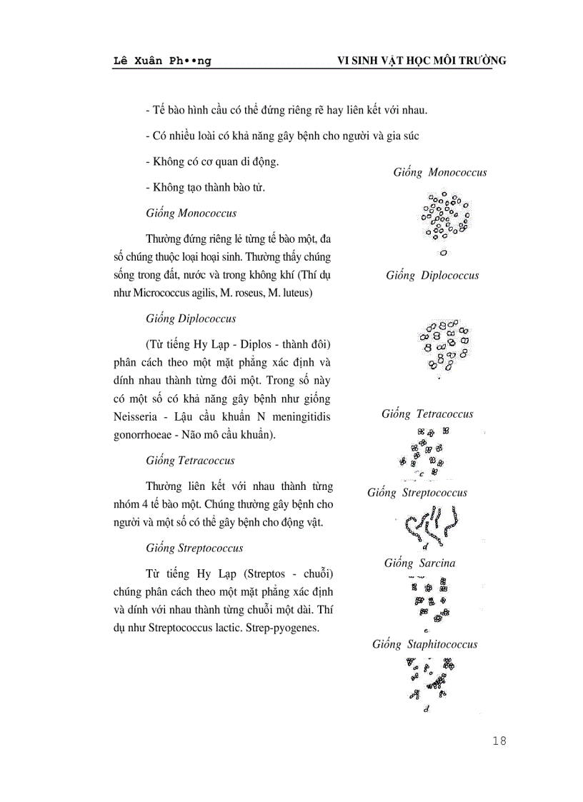 image for page Giáo trình VI SINH VAT HỌC MÔI TRƯỜNG