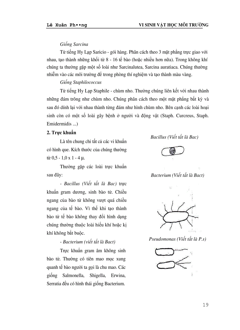 image for page Giáo trình VI SINH VAT HỌC MÔI TRƯỜNG