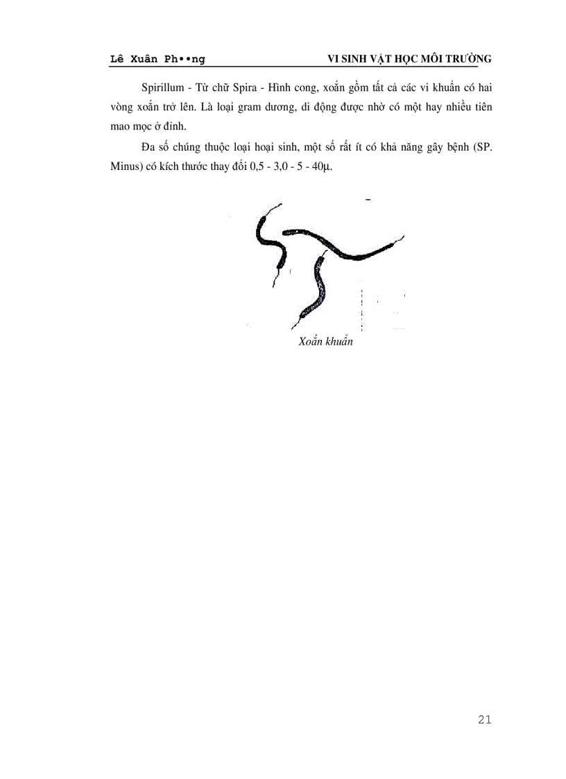 image for page Giáo trình VI SINH VAT HỌC MÔI TRƯỜNG