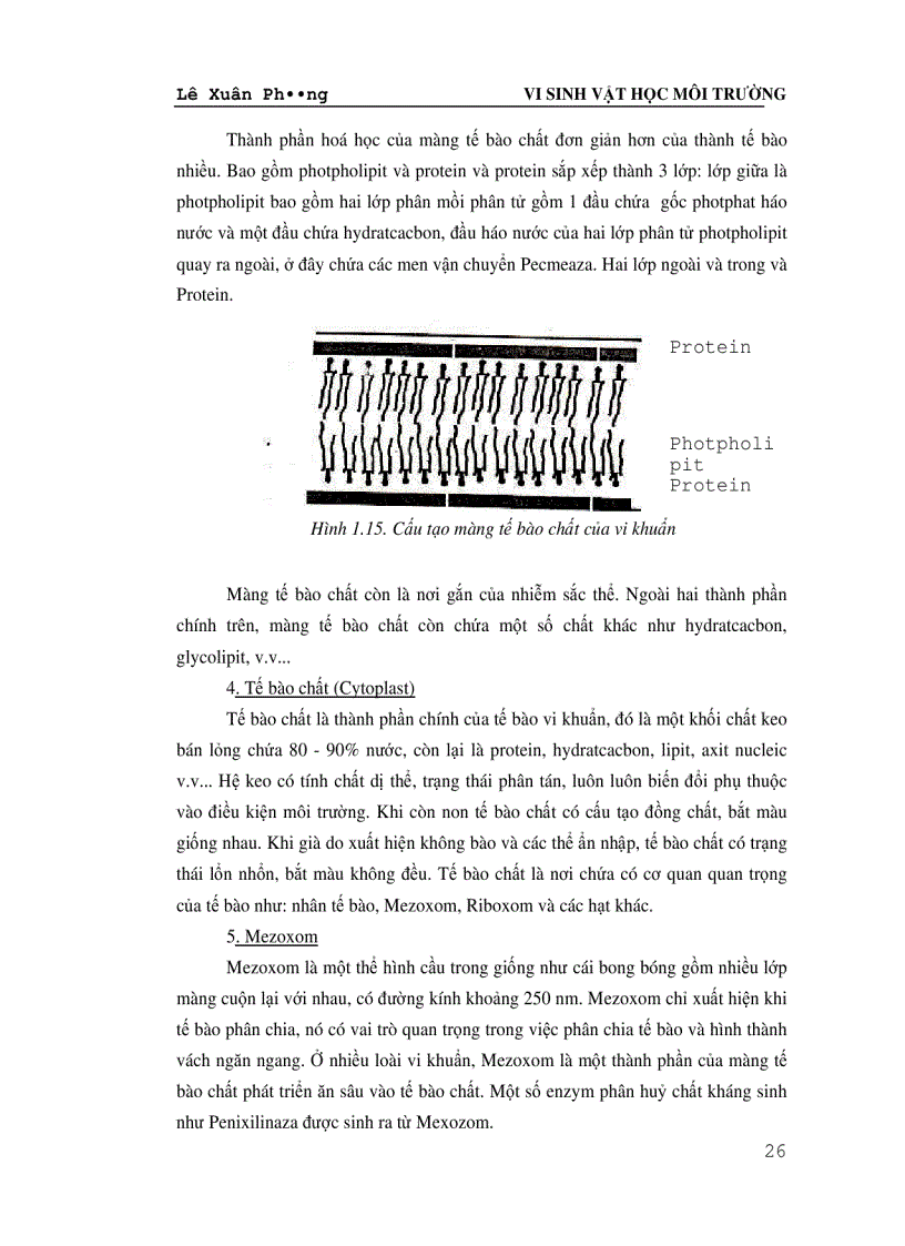 image for page Giáo trình VI SINH VAT HỌC MÔI TRƯỜNG