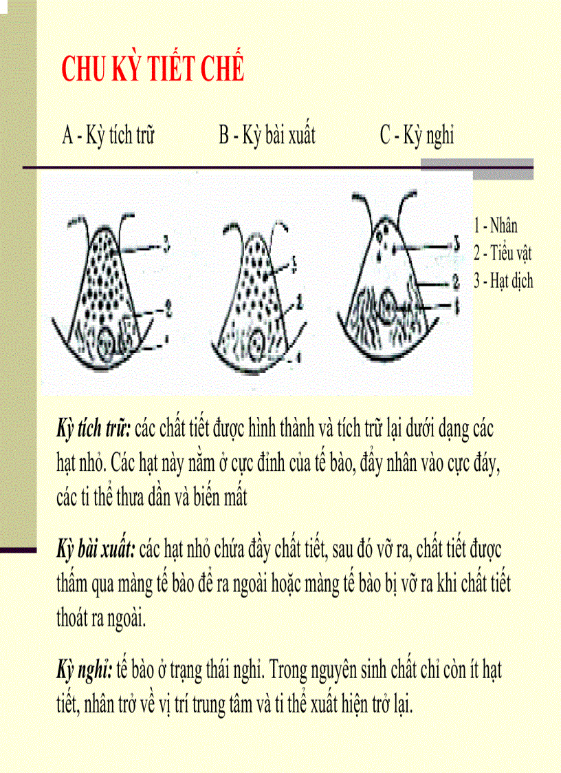 image for page Mô Phôi Học