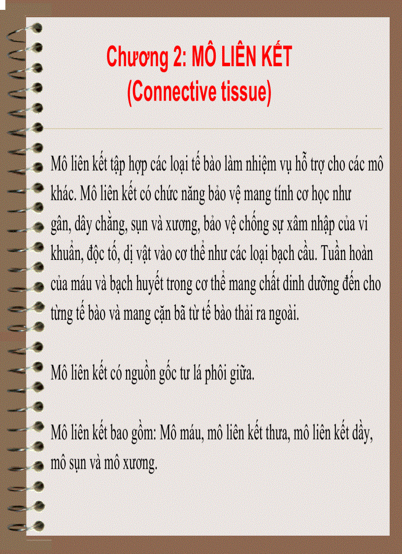 image for page Mô Phôi Học