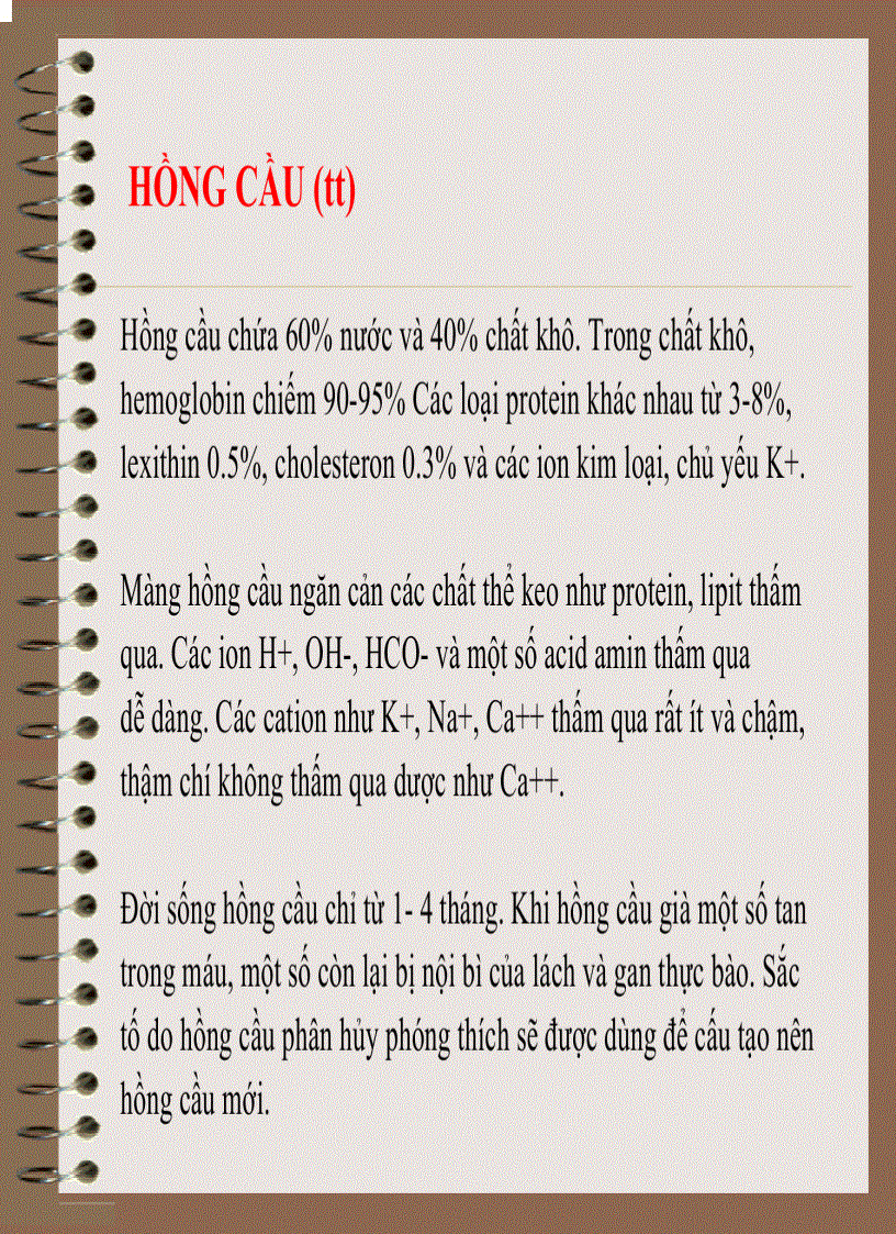 image for page Mô Phôi Học