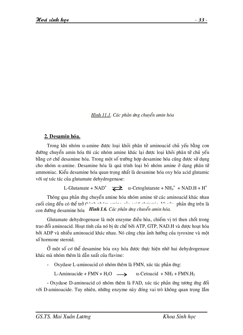 image for page Giáo trình Hóa sinh học