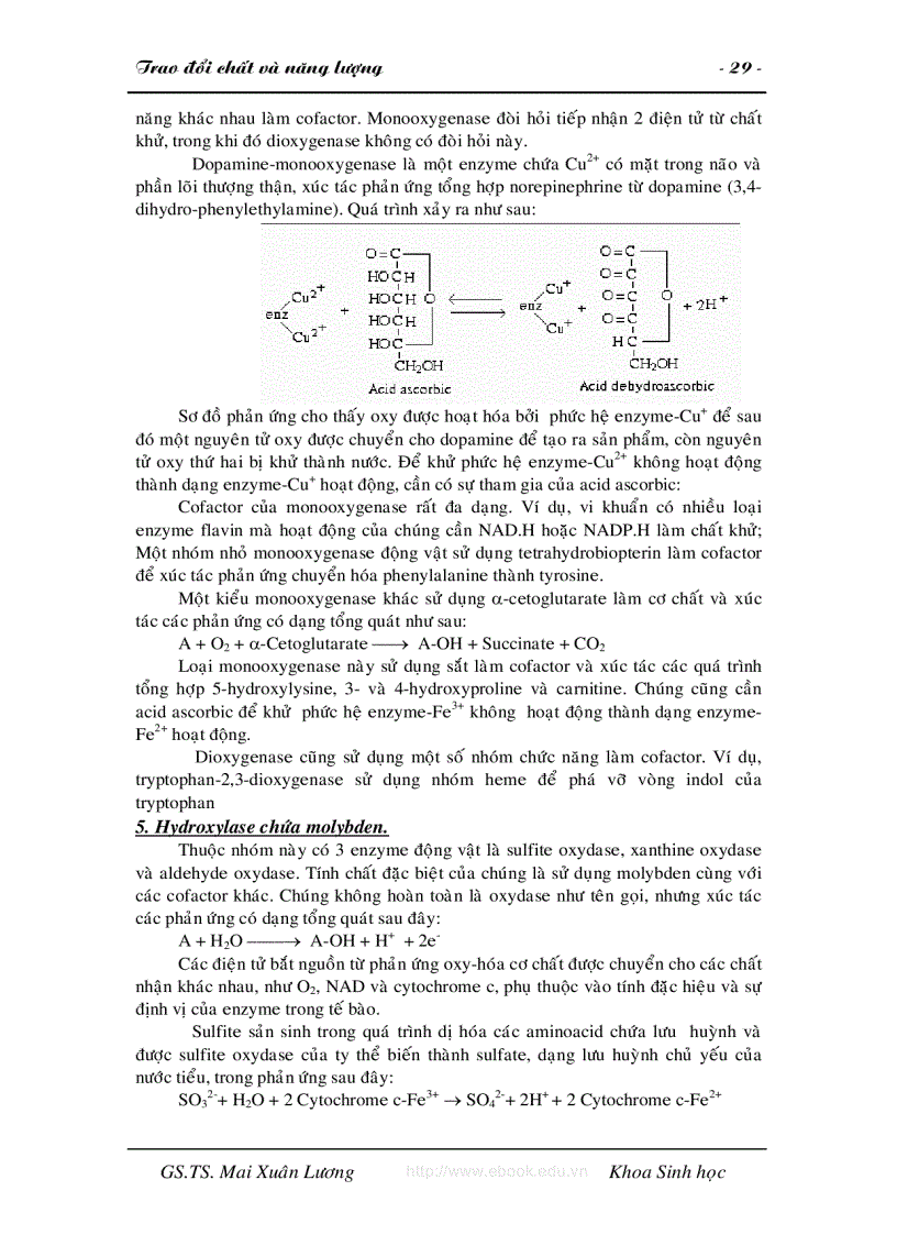 image for page Giáo trình trao đổi chất và năng lượng ĐH Đà Lạt
