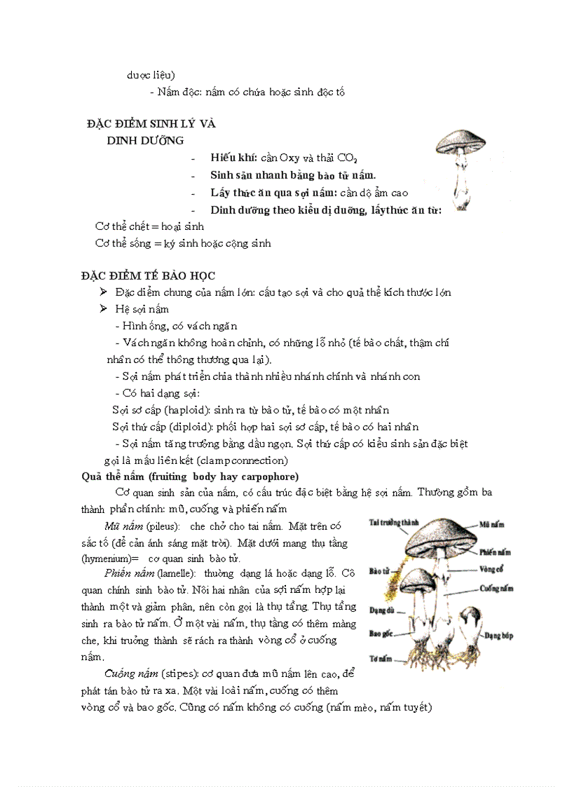 image for page Kỹ thuật trồng nấm