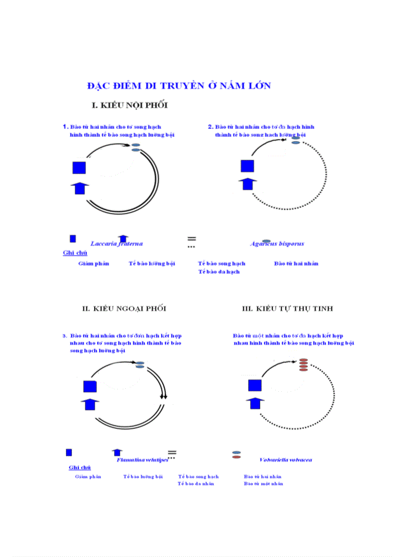 image for page Kỹ thuật trồng nấm
