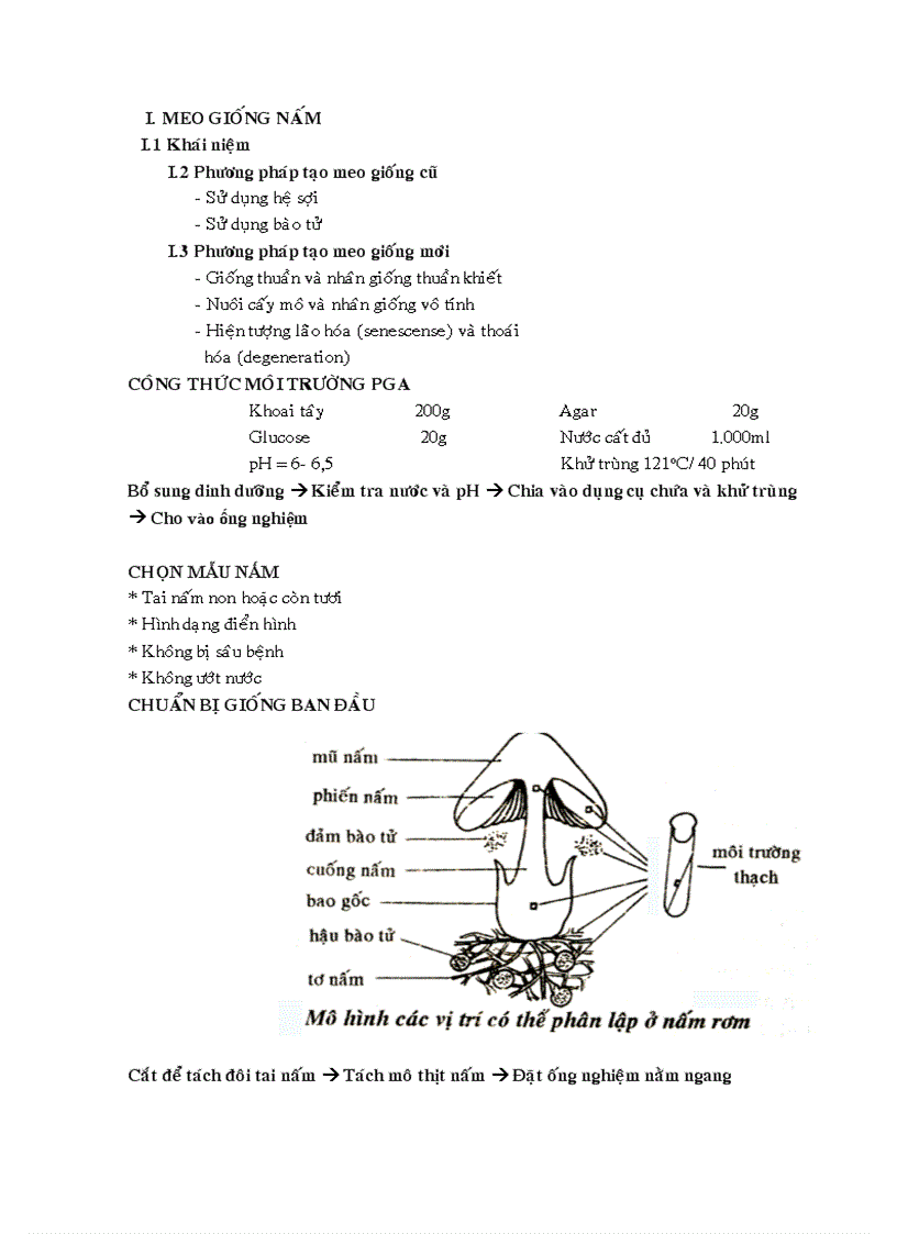 image for page Kỹ thuật trồng nấm