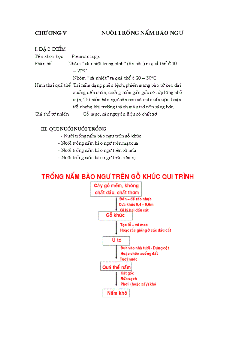 image for page Kỹ thuật trồng nấm