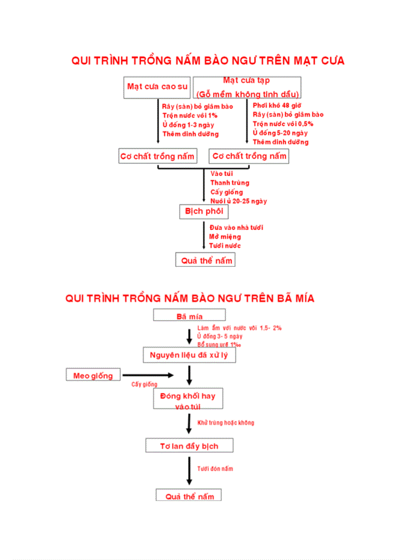 image for page Kỹ thuật trồng nấm