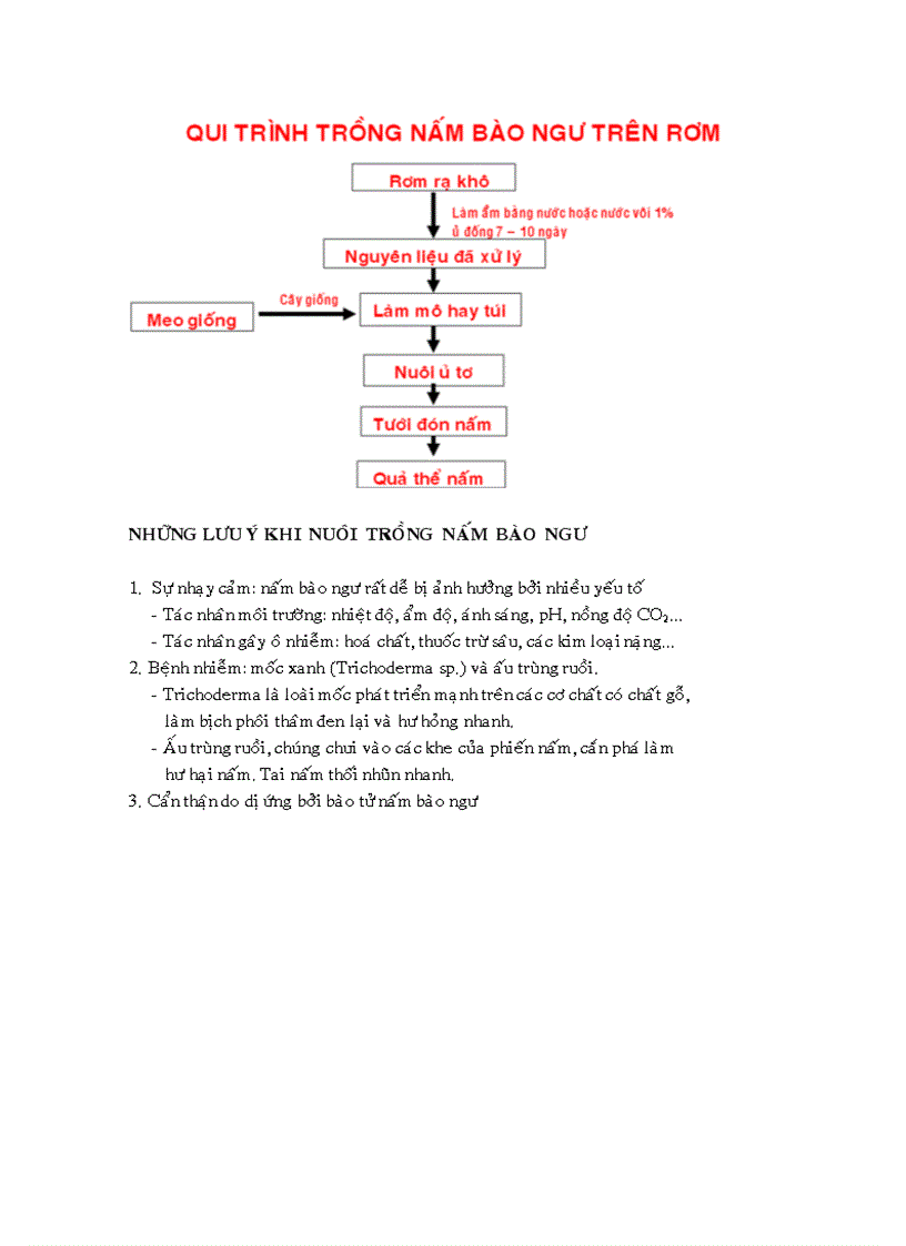 image for page Kỹ thuật trồng nấm