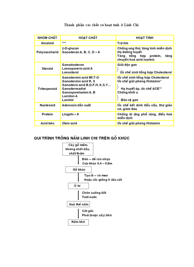 image for page Kỹ thuật trồng nấm