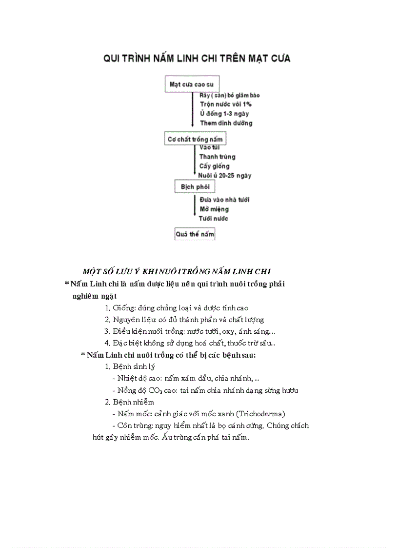 image for page Kỹ thuật trồng nấm