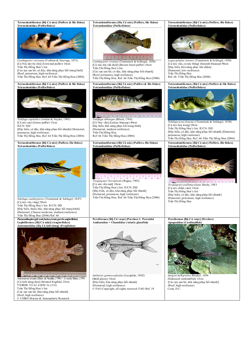 image for page Danh mục minh họa các loài đang bị nguy cấp Để xem xét sự biến động lâu dài