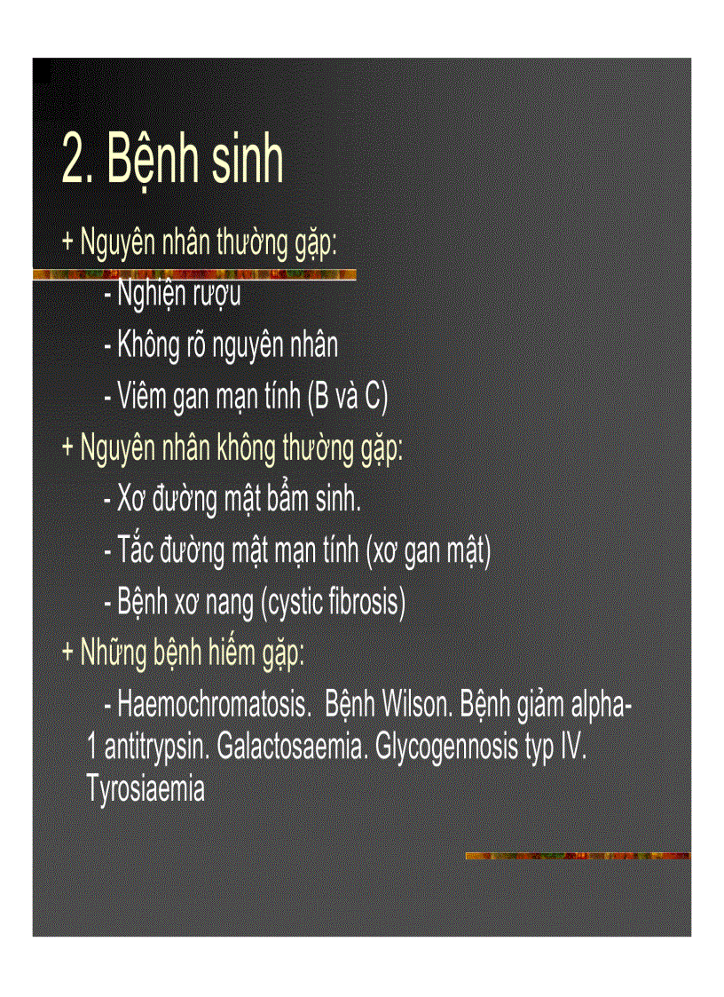 image for page Xơ gan Ung thư gan