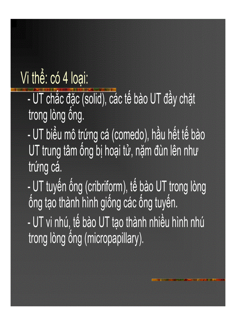 image for page GIẢI PHẪU Bệnh tuyến vú