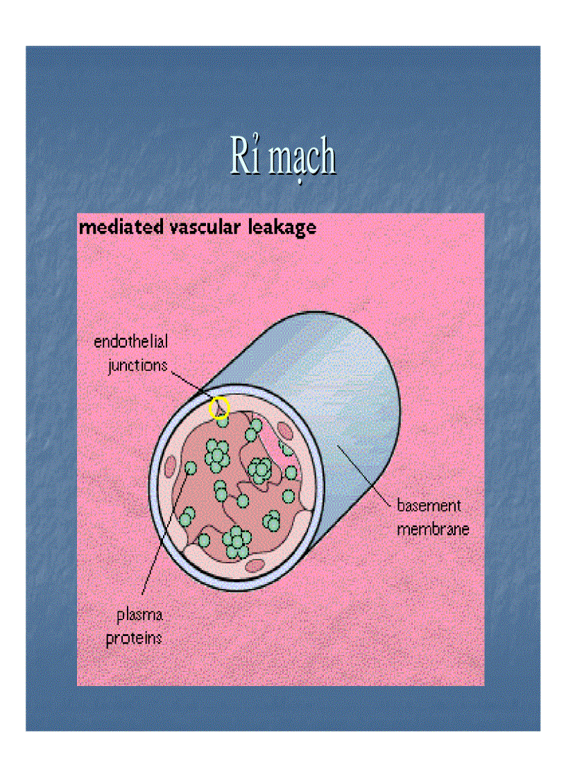 image for page Giải phẫu bệnh viêm 1