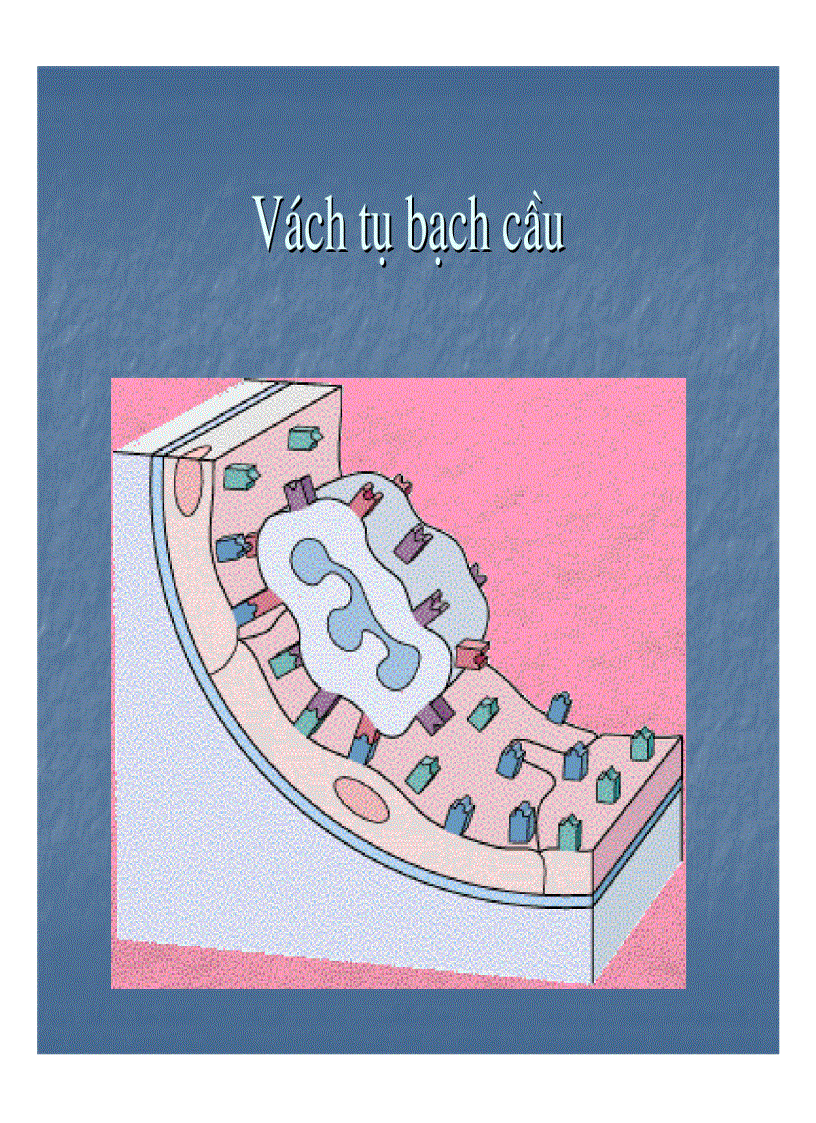 image for page Giải phẫu bệnh viêm 1