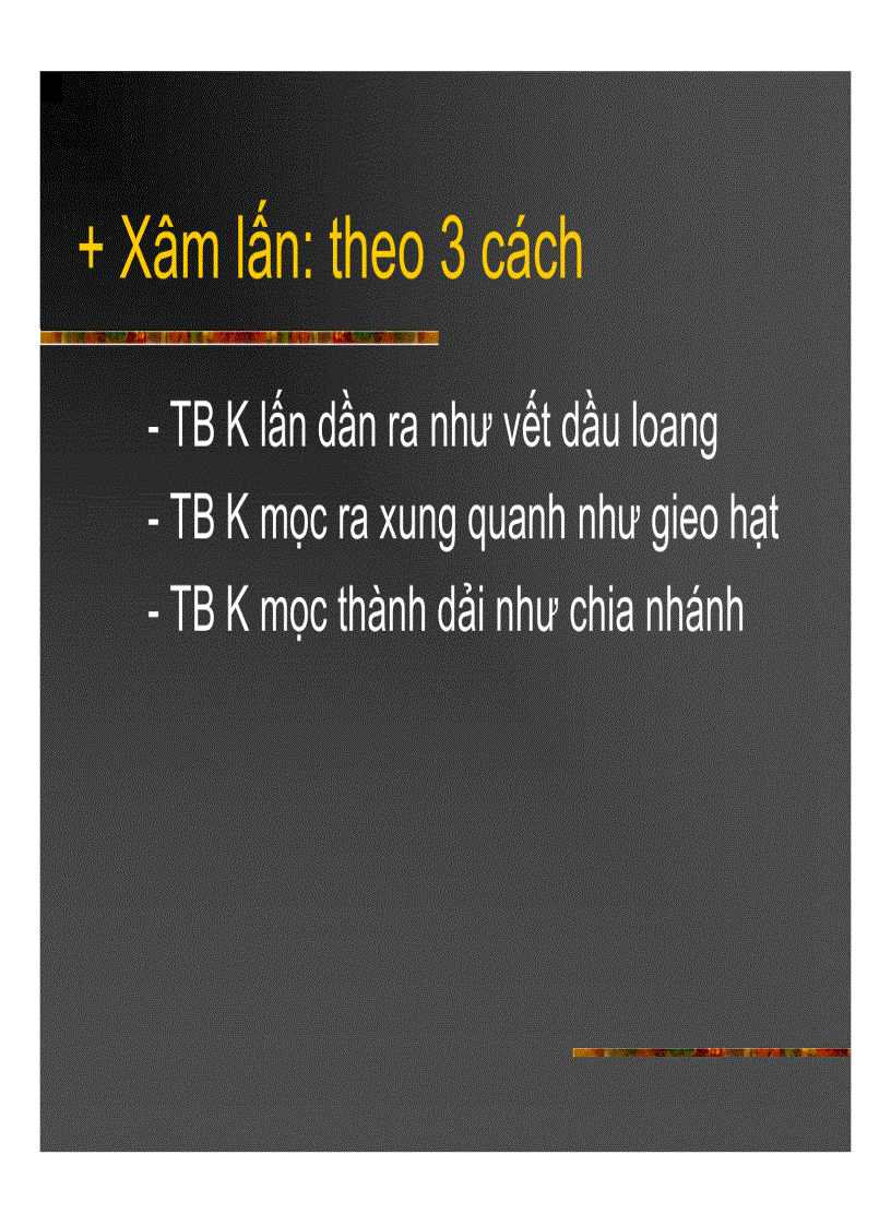 image for page Giải phẫu bệnh Ung thư