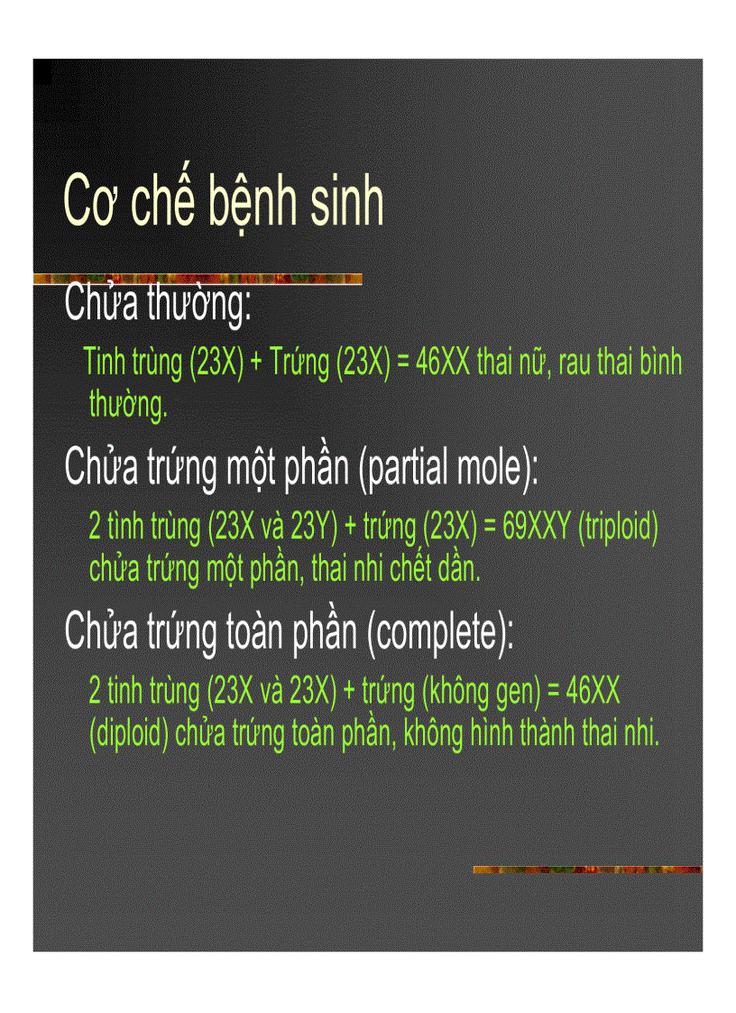 image for page Giải phẫu bệnh Chửa trứng Ung thư biểu mô rau