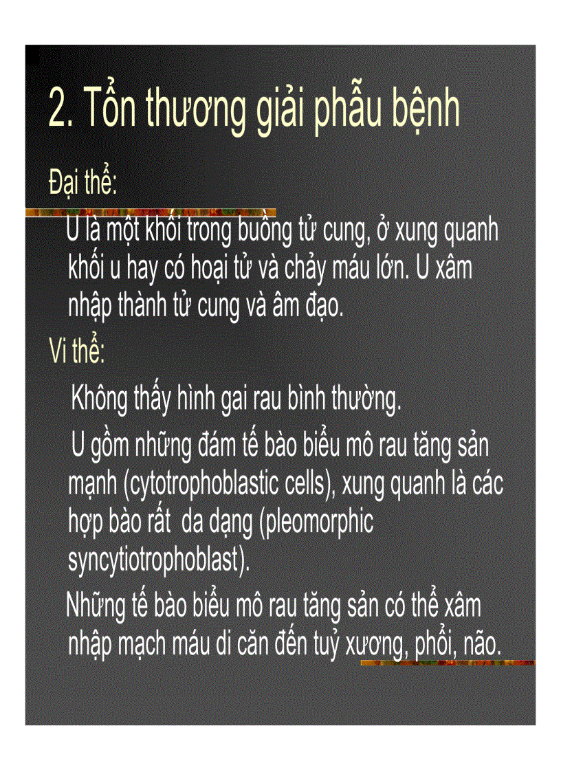 image for page Giải phẫu bệnh Chửa trứng Ung thư biểu mô rau