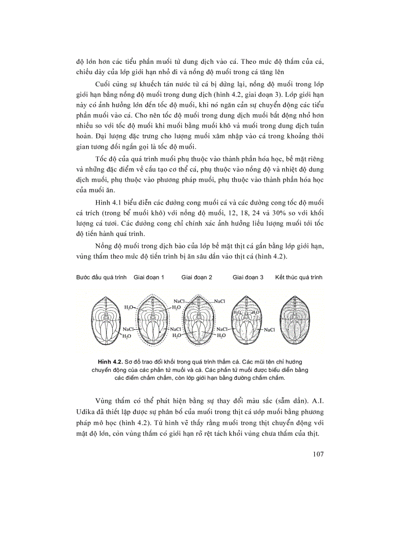 image for page Chế biến cá thịt 3