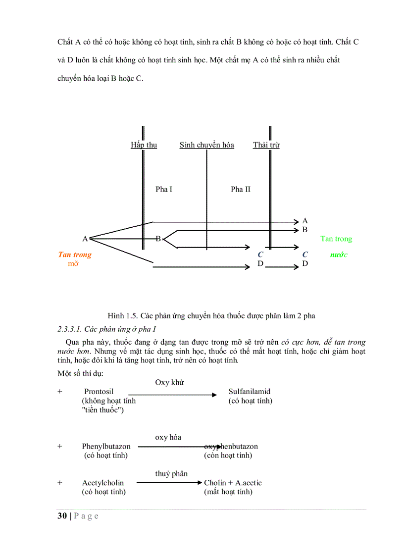 image for page Dược lý học sách dùng cho sinh viên hệ bác sĩ đa khoa
