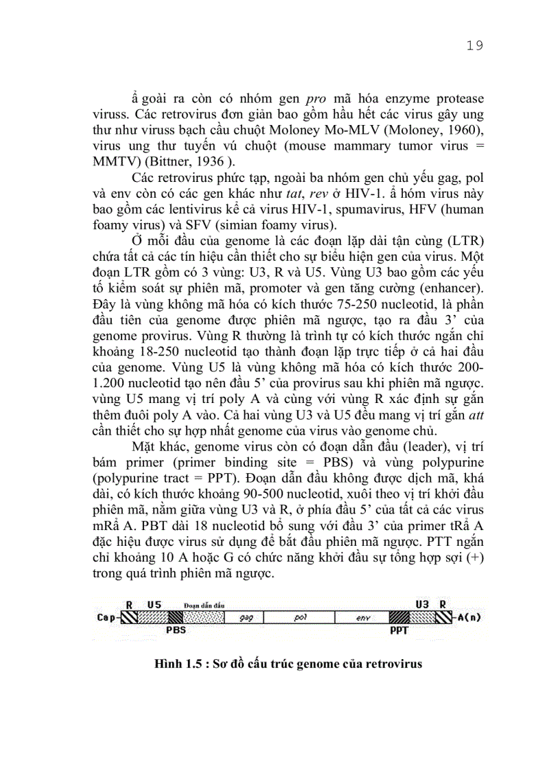 image for page Công nghệ chuyển gen ðộng vật thực vật