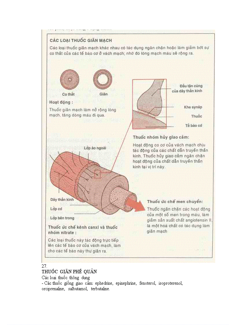 image for page Hướng dẫn xử dụng thuốc kháng sinh an toàn và hiệu quả