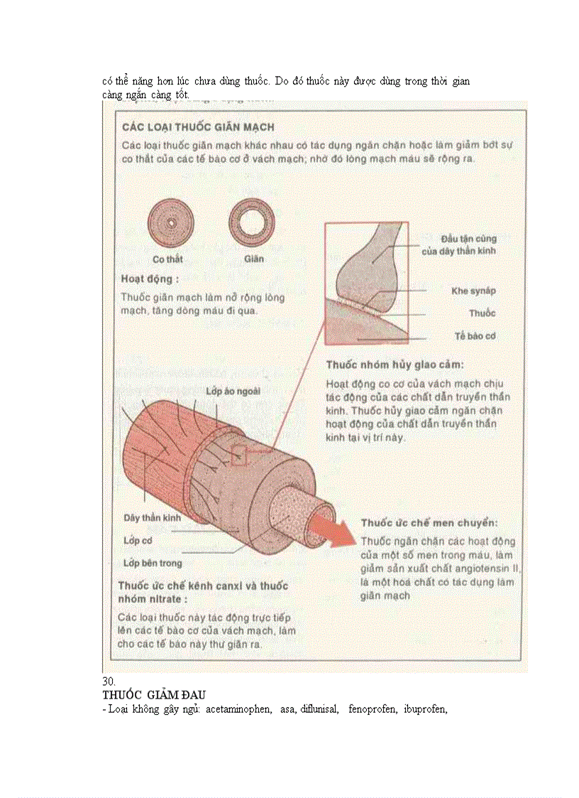 image for page Hướng dẫn xử dụng thuốc kháng sinh an toàn và hiệu quả