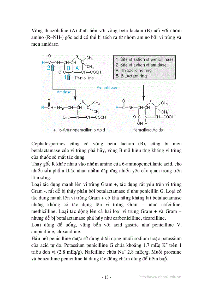 image for page Hướng dẫn xử dụng thuốc kháng sinh an toàn và hiệu quả 1