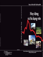 Báo cáo phát triển Việt Nam năm 2009 Huy động và sử dụng vốn
