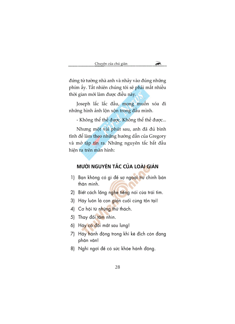 image for page Chuyện của chú gián Giải pháp tối ưu cho bạn