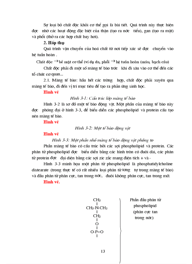 image for page Độc học môi trường