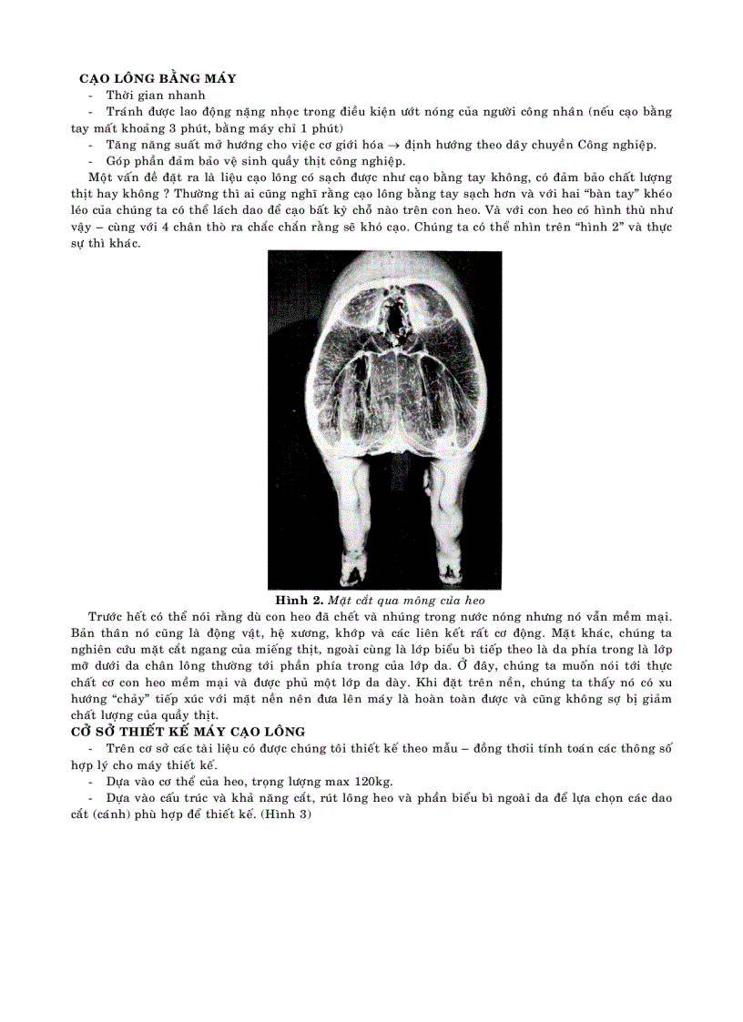 image for page Sơ chế heo và nghiên cứu thiết kế chế tạo máy cạo lông heo