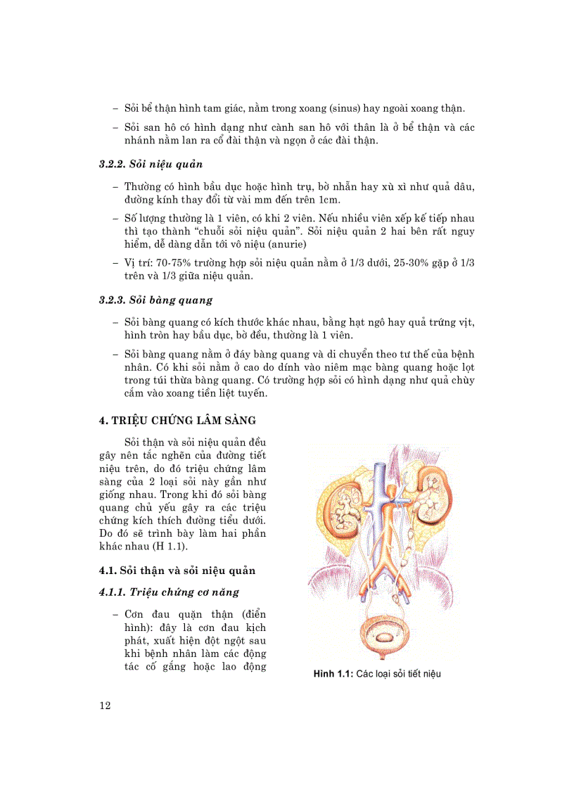 image for page Bách khoa y học Tổng hợp những cuốn sách y học cổ truyền và y học hiện đại cảu các trường nổi tiếng