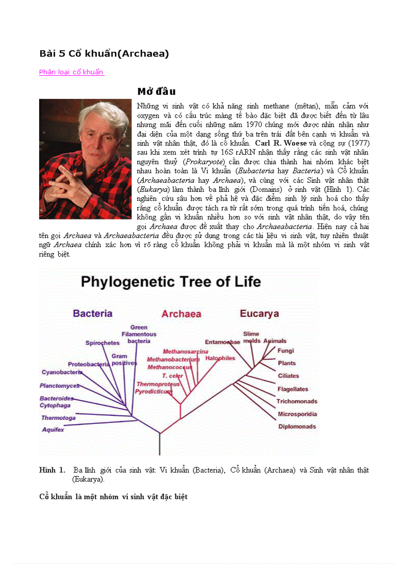 image for page Vi sinh vật phần 3