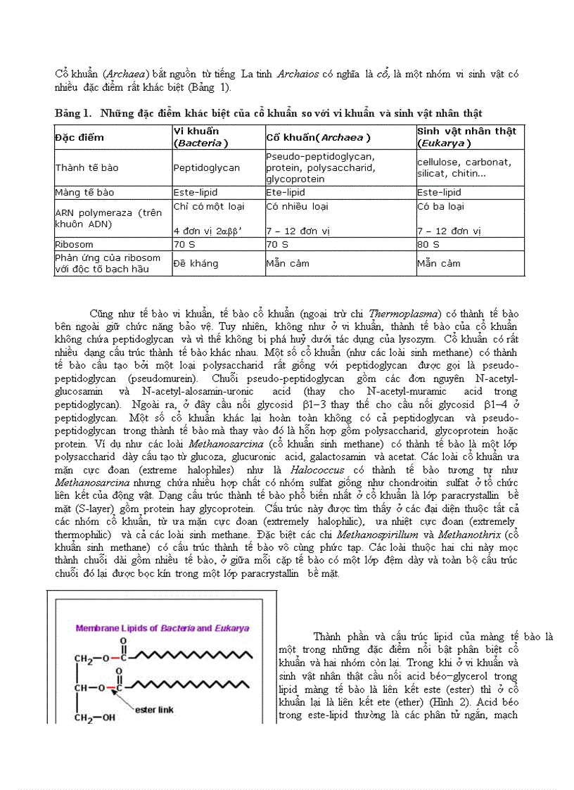 image for page Vi sinh vật phần 3