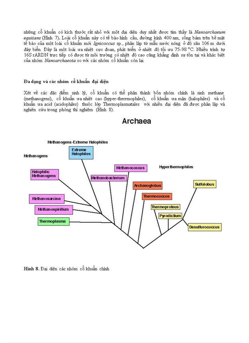 image for page Vi sinh vật phần 3