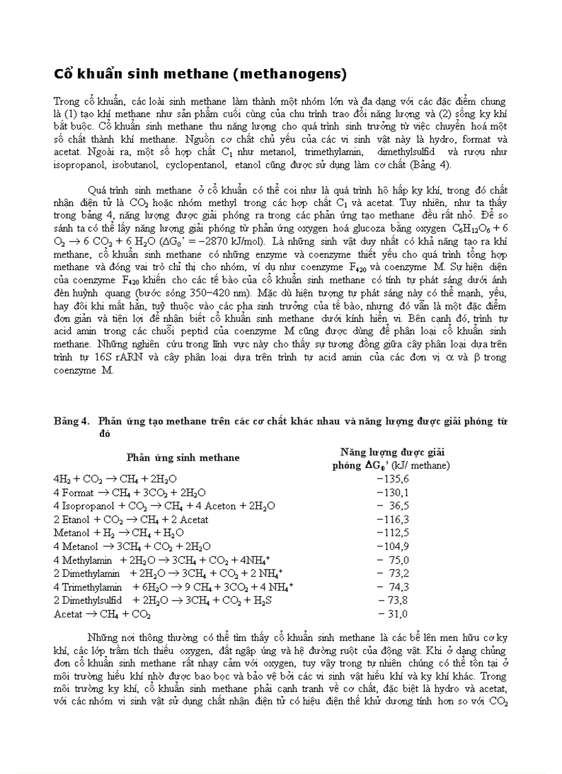 image for page Vi sinh vật phần 3