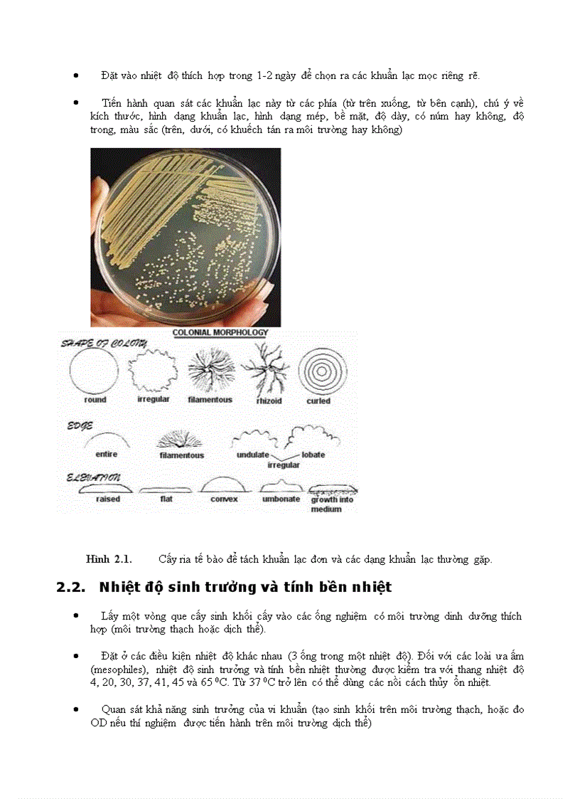 image for page Vi sinh vật phần 3